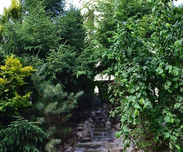 Dom wakacyjny Podhale Falsztyn